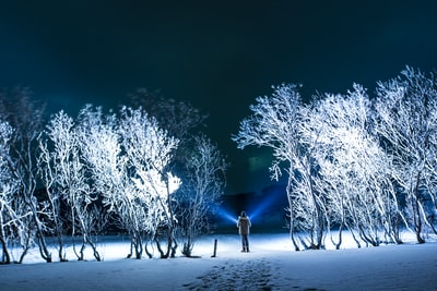 站在户外白雪覆盖的树木旁的男子